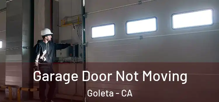  Garage Door Not Moving Goleta - CA