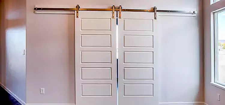Glass Barn Door with Installation Hardware Kit Goleta